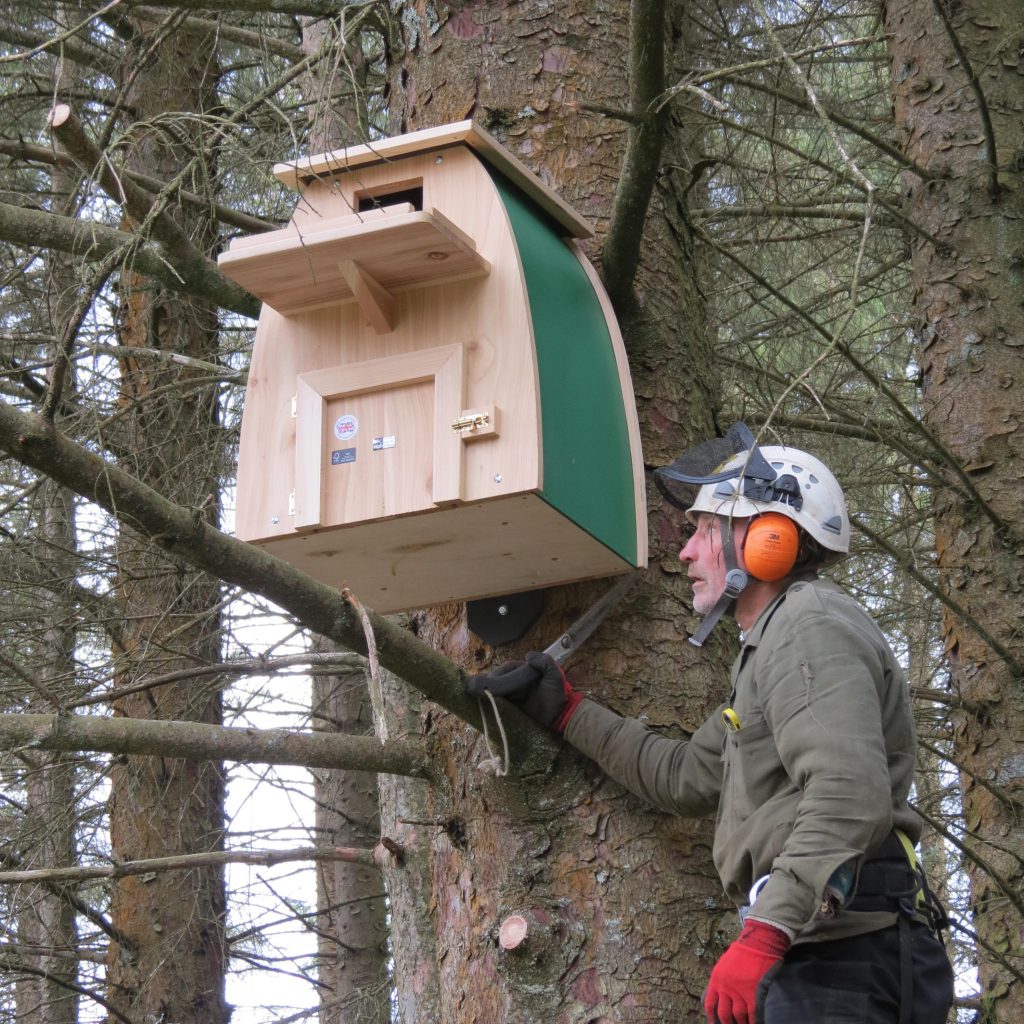 butterfly-and-hummingbird-garden-ideas-8-owl-nesting-nesting-box