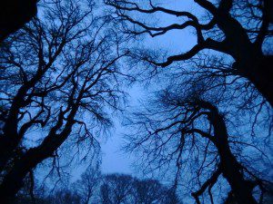 1 a 1 a mostly ghostly Castle Loch Woods, Lochmaben