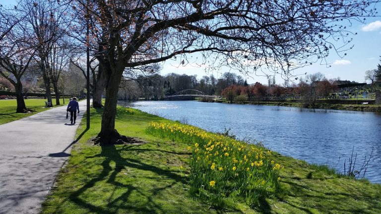 Stunning Success For Dock Park - Dumfries