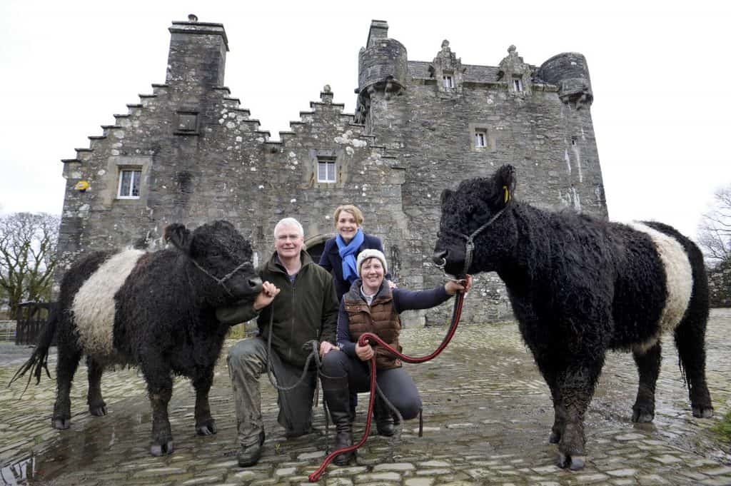 Belties Lead the Way as Dumfries & Galloway Looks Ahead to 2021 Royal Highland Show