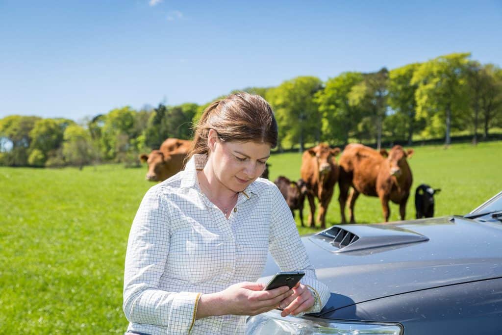 new app allows farmers to share real-time data with their vet