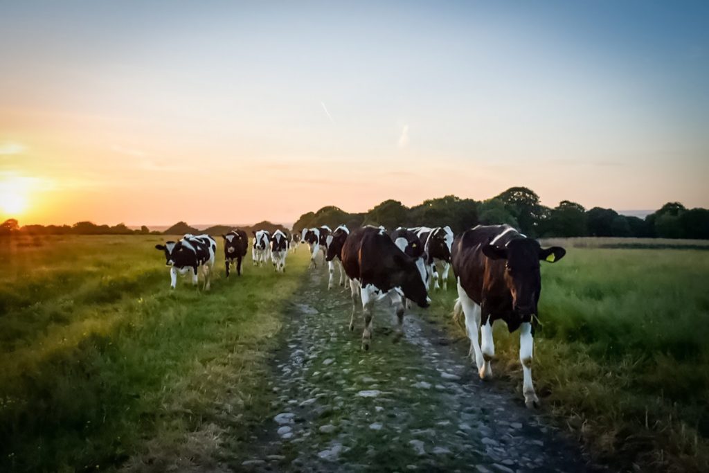 Farmers’ handbook highlights need to address climate change