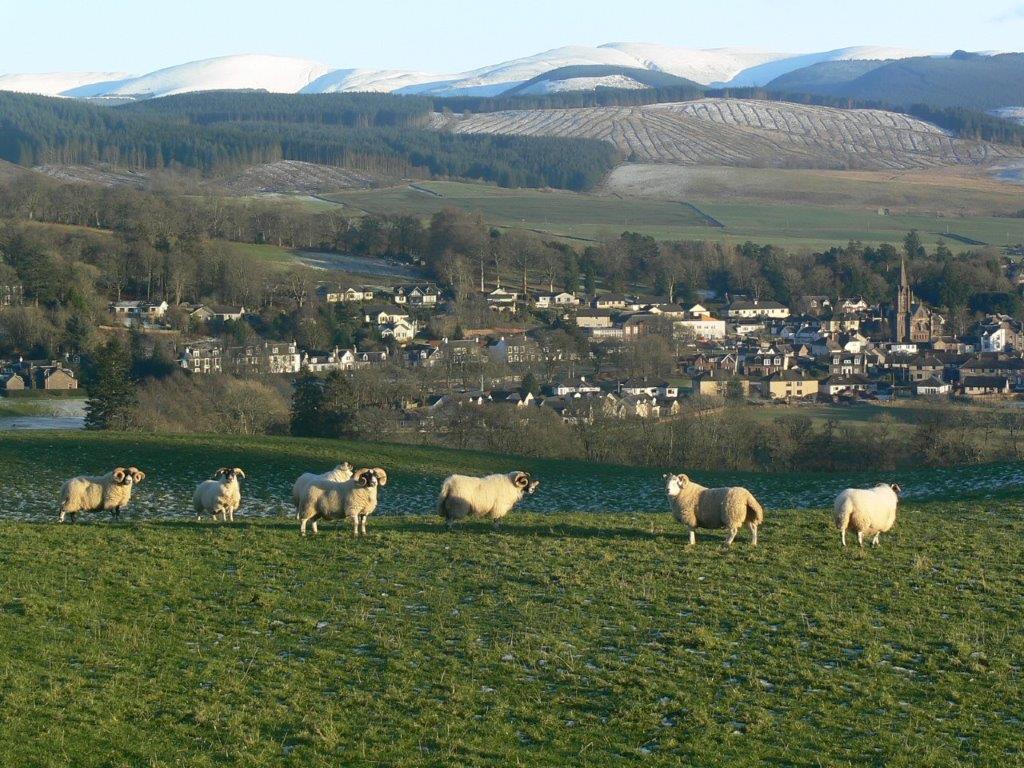 New Museum For The Central Southern Uplands