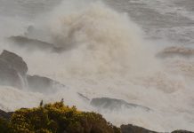 Windy and cold spell to come