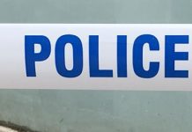 77-year-old man dies in road crash on the A74(M)