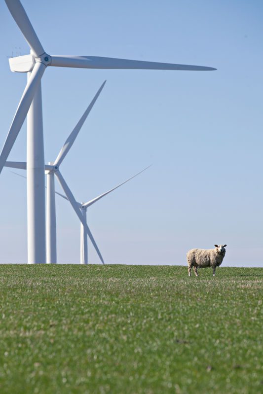 Developers Eye Dumfries and Galloway For 12 Turbine windfarm