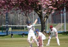 Dumfries spring into cricket action - Cricket News