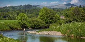 Wildlife officers raise awareness of fish poaching