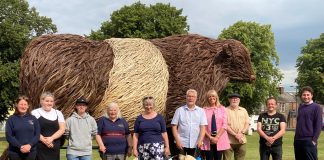 KELTON THE BELTIE RETURNS TO CASTLE DOUGLAS