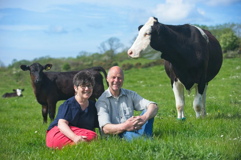 Wilma's Cancer Diagnosis Gives Urgency to Dairy Welfare Campaign