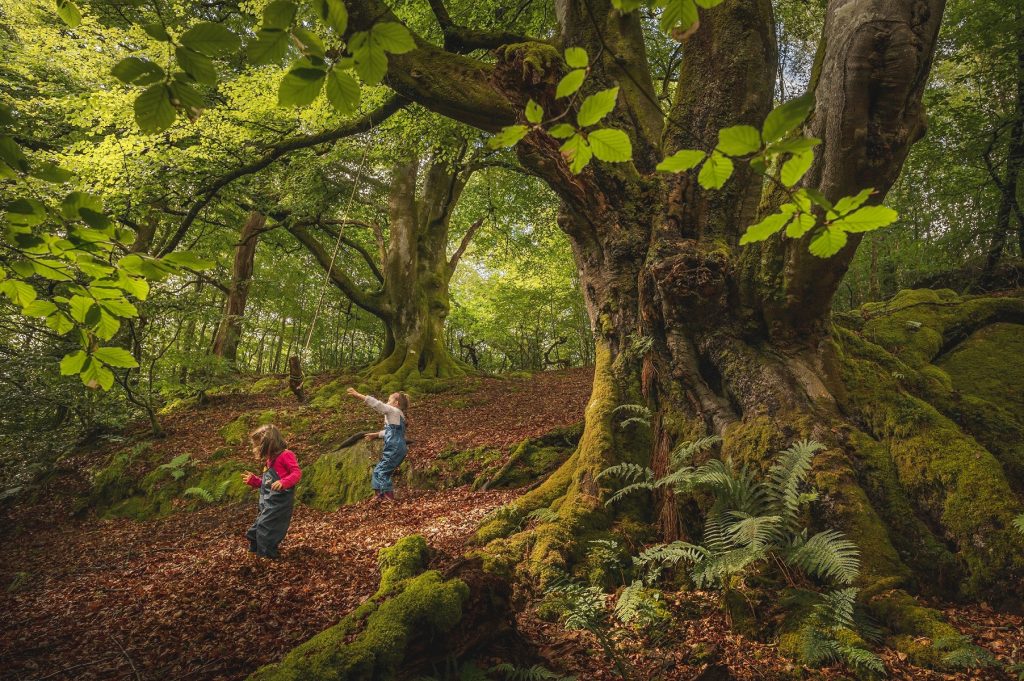 Get Ready for the 2022 Barhill Woodland Festival at Kirkcudbright.