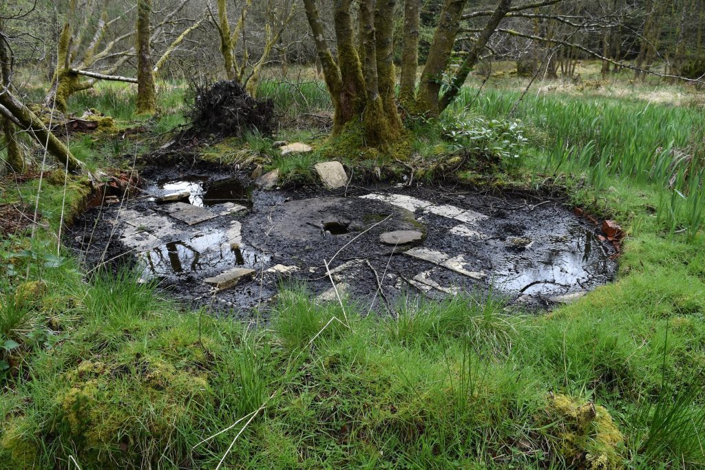 Results published from the ‘Lost Wells of Galloway’ project  