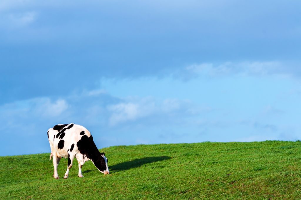 PUBLIC CAN FIND OUT MORE ABOUT SRUC's £8 MILLION POUND DAIRY NEXUS