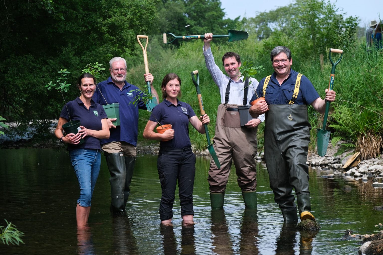 New round of Funding Announced for Native Tree Planting in South of ...