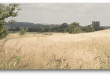 Premiere of five beautiful short films from Threave Nature Reserve