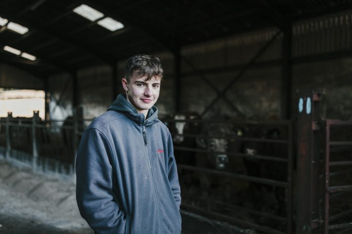 New apprenticeship aims to upskill farmers