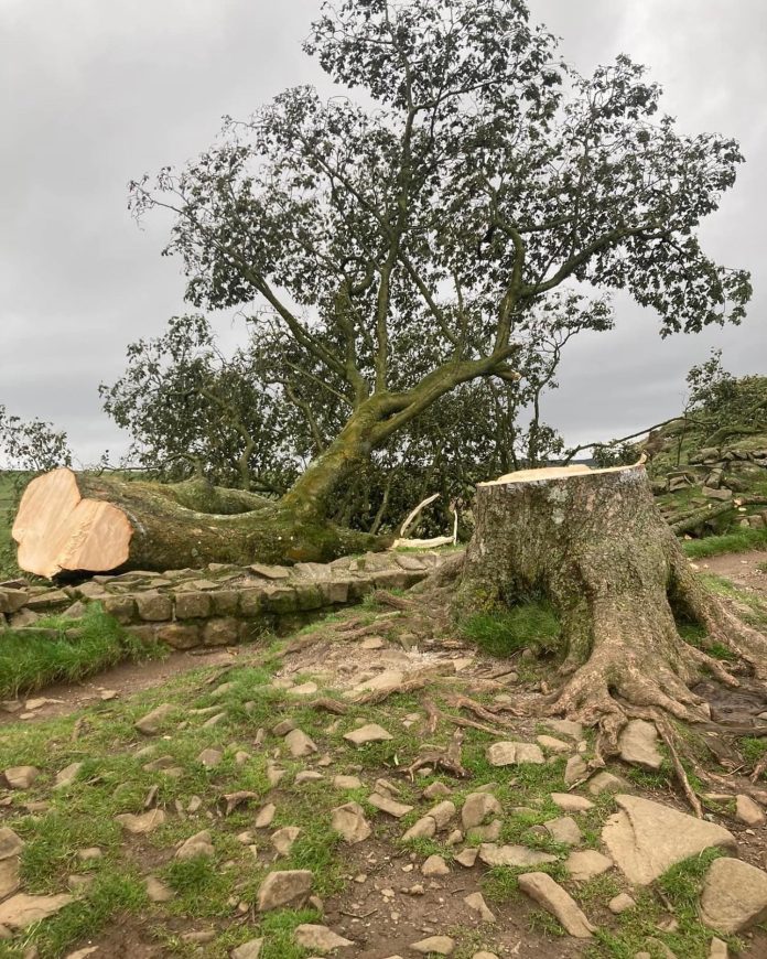 Image supplied by Guy Opperman MP