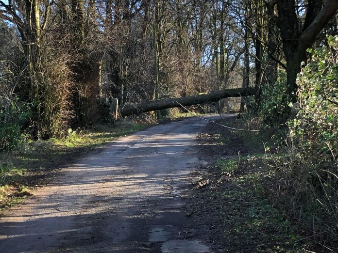 SOUTH OF SCOTLAND BRACES ITSELF FOR STORM AGNES