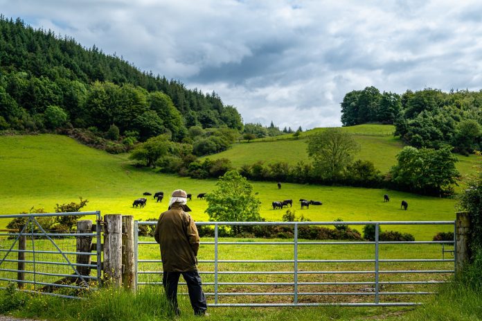 Farmers’ handbook highlights volatile farm output prices