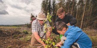 Search Underway for the new Muirdrochwood Forestry Apprentice!