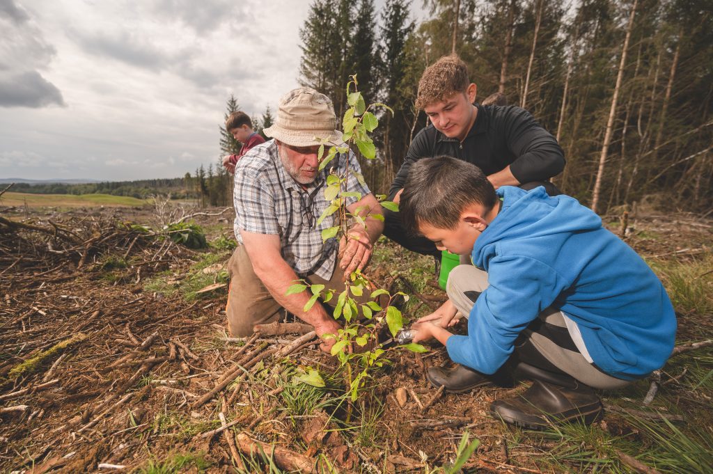 Search Underway for the new Muirdrochwood Forestry Apprentice!