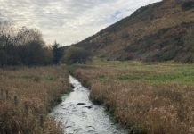 Local charity buys land near Auldgirth for environmental project