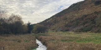 Local charity buys land near Auldgirth for environmental project