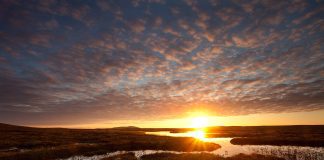 Dumfries & Galloway Woodlands