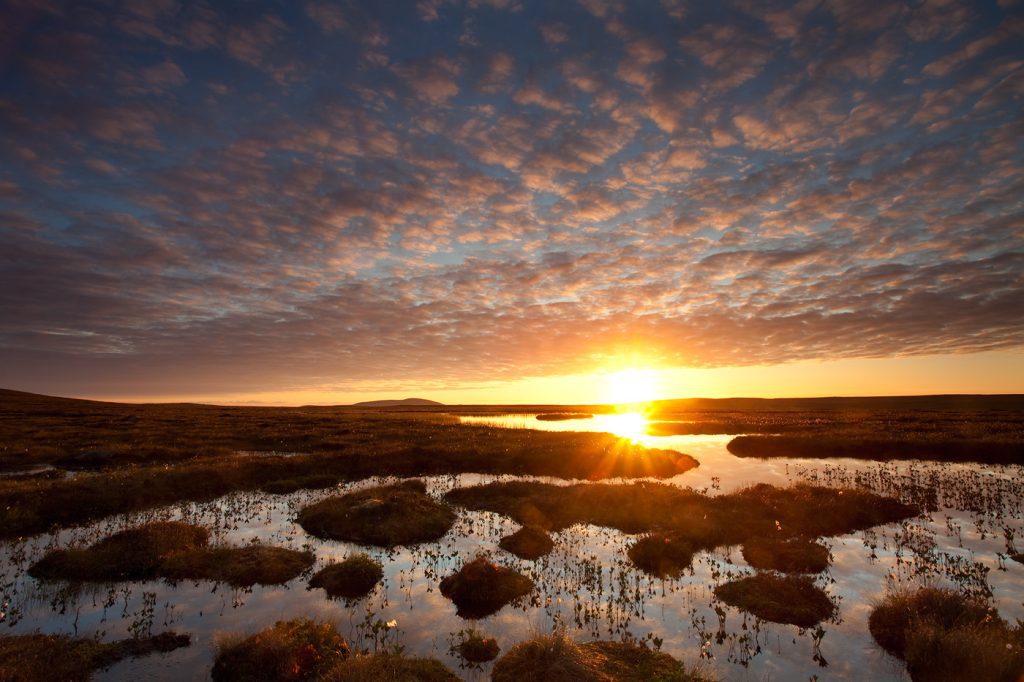 Dumfries & Galloway Woodlands