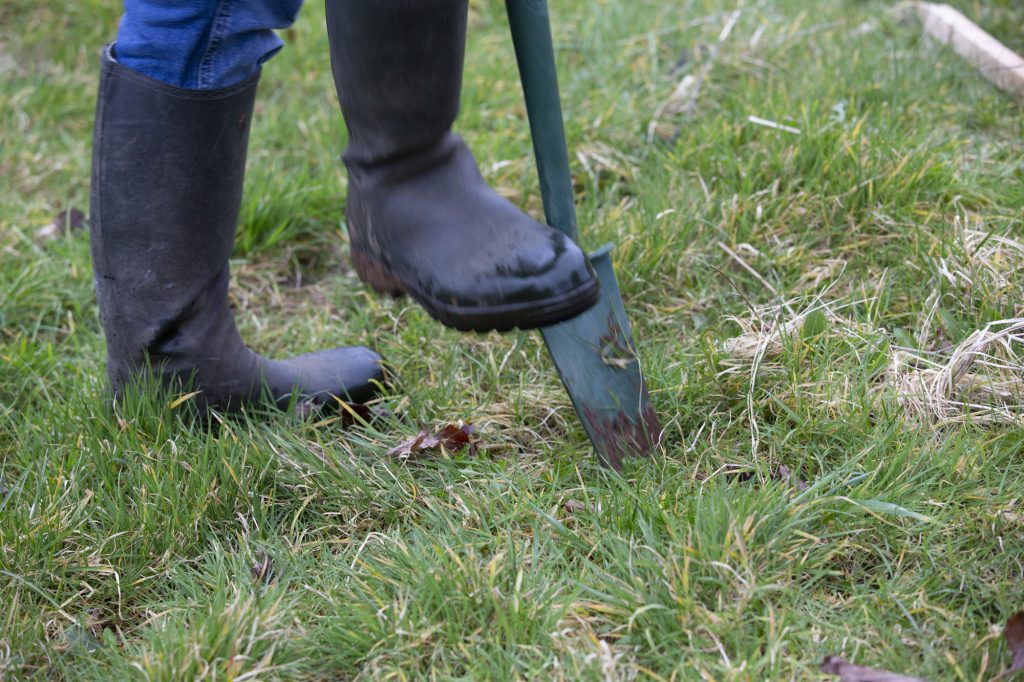 Volunteers Tree Planters Needed For Upper Barr Community Woodland