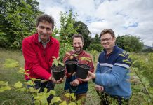The Dumfries & Galloway Tree Planting Grant Scheme is open for Applications!