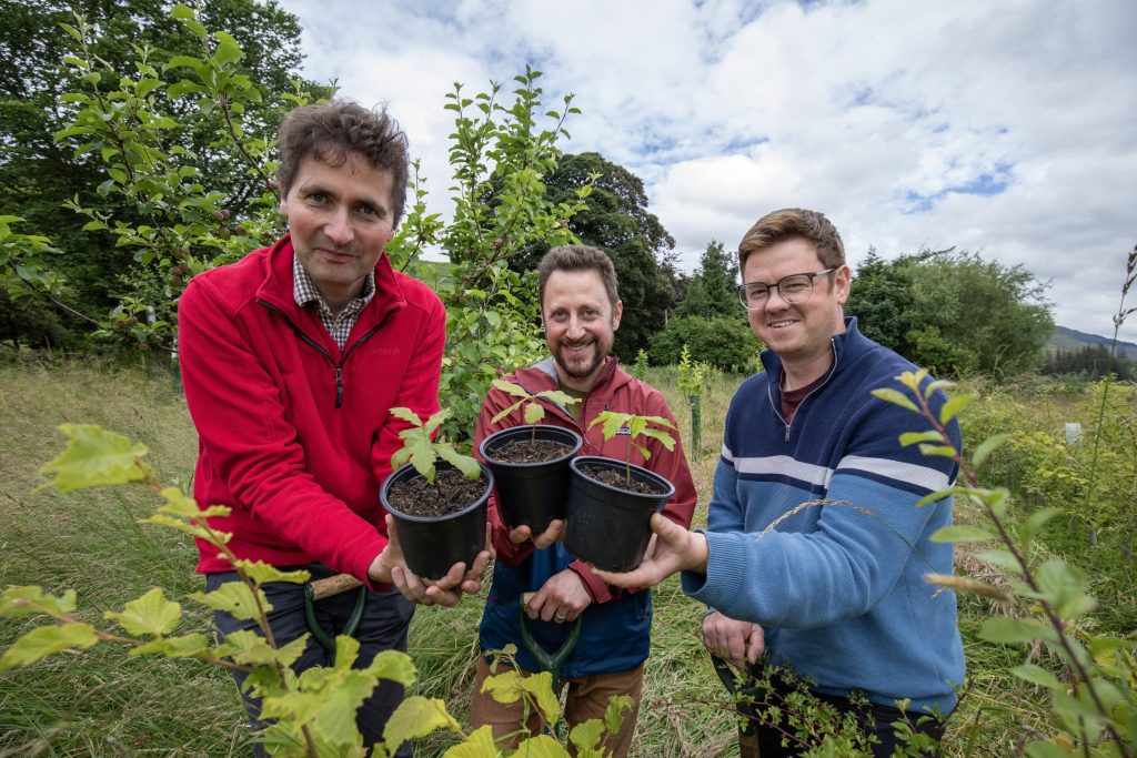 The Dumfries & Galloway Tree Planting Grant Scheme is open for Applications!