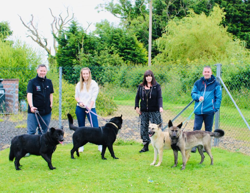 Six abandoned dogs reunited with their rescuers one year on