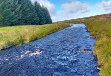 Scallop Shells Being Used To Improve River Bladnoch Water Quality