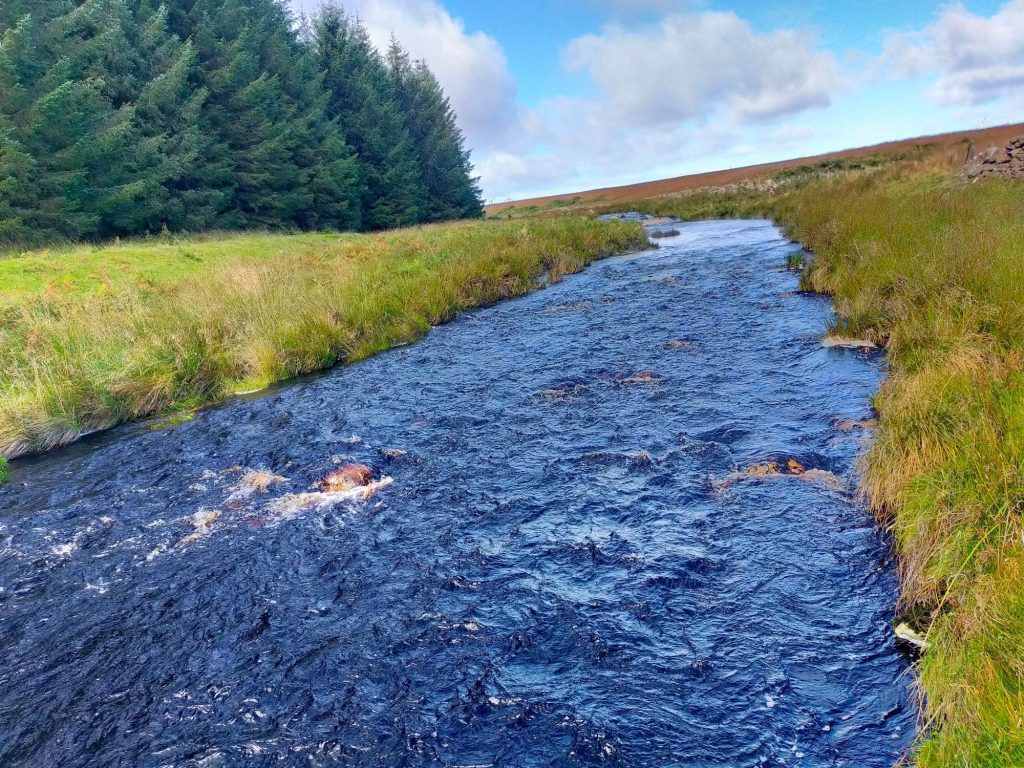 Scallop Shells Being Used To Improve River Bladnoch Water Quality