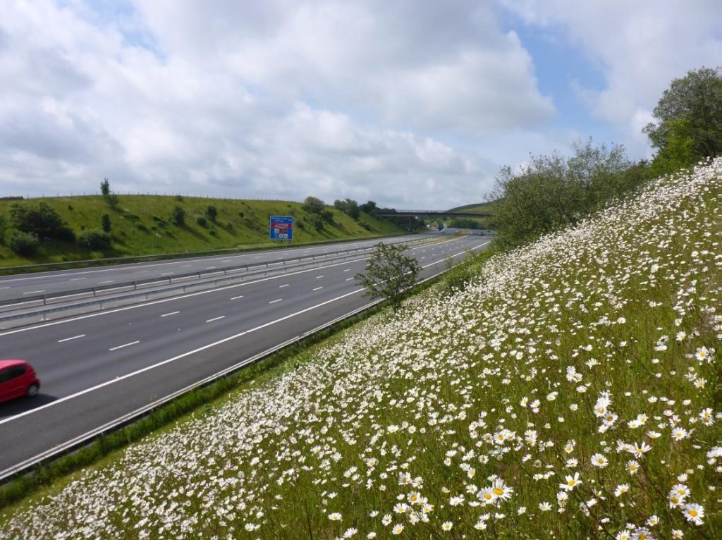 Drivers advised to plan journeys ahead of M6 wide load movement