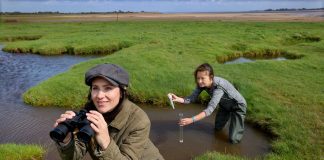 Saltmarshes