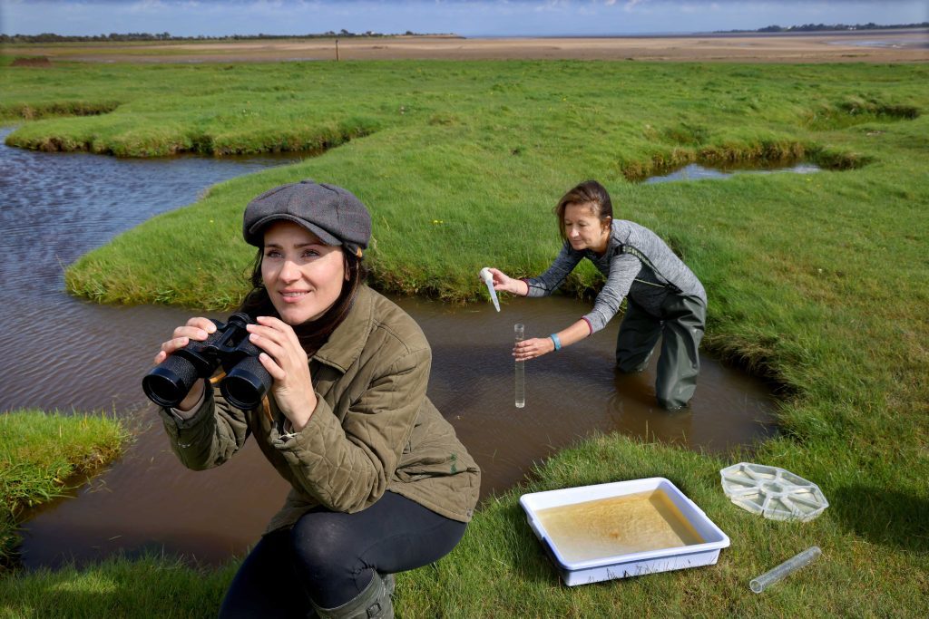 Saltmarshes