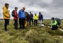 Annan’s Incredible Saltmarsh was Centre Stage at the ImMerse Festival