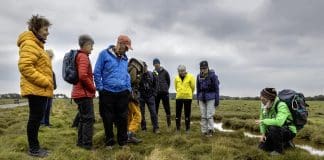 Annan’s Incredible Saltmarsh was Centre Stage at the ImMerse Festival