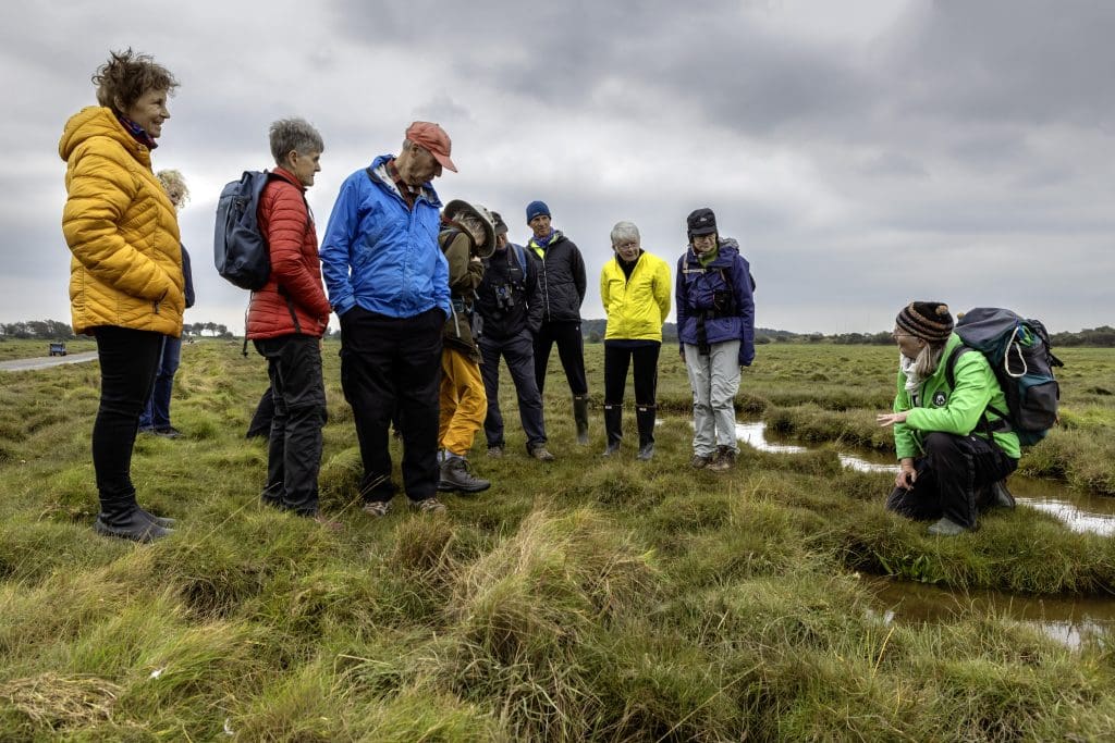 Annan’s Incredible Saltmarsh was Centre Stage at the ImMerse Festival