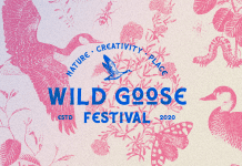 DG Wild Goose Festival Is Back for 5th Year