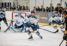 BEES FEEL THE SHARKS BITE IN DOUBLE HEADER WEEKEND