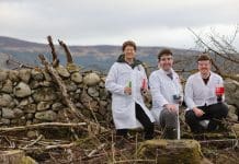 ‘Woodland Laboratory’ established to examine natural regeneration processes on forestry sites