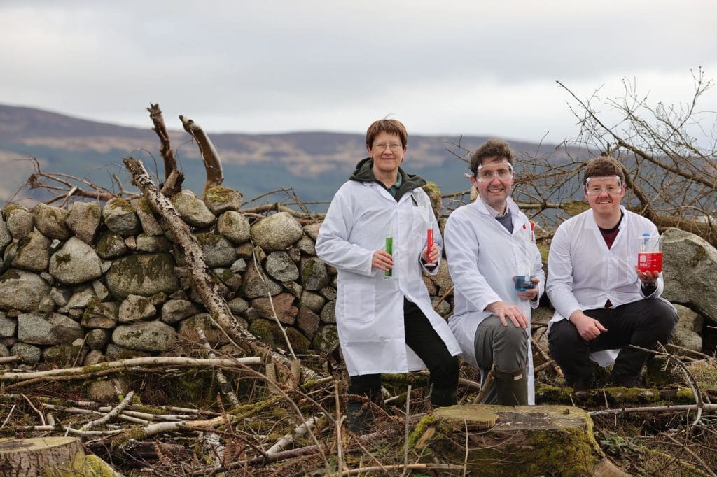 ‘Woodland Laboratory’ established to examine natural regeneration processes on forestry sites