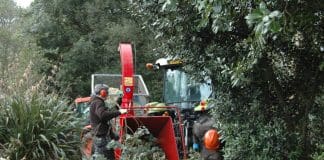 Clear-up Underway at Logan Botanic Garden 