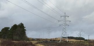 Kendoon and Tongland Pylon Project Approval Criticised