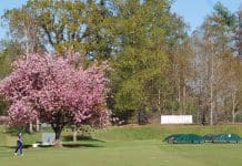 Season opening win for Dumfries Cricket Club
